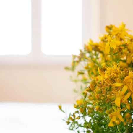 Girastrittue * Colobraro