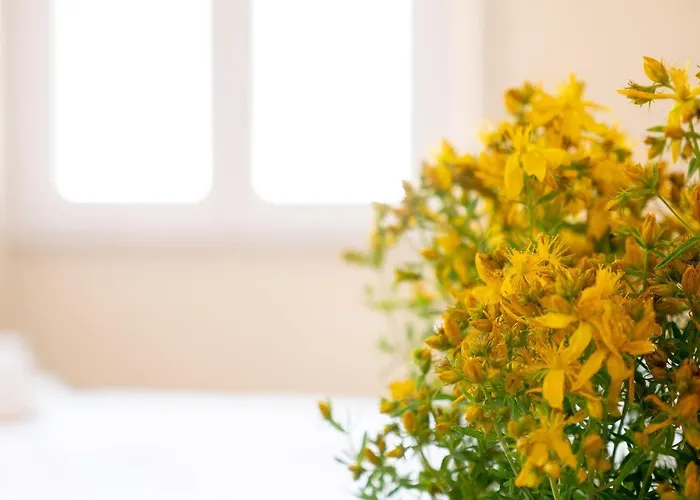 Girastrittue * Colobraro