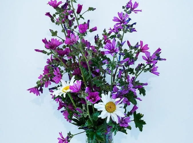 Girastrittue Hotel *